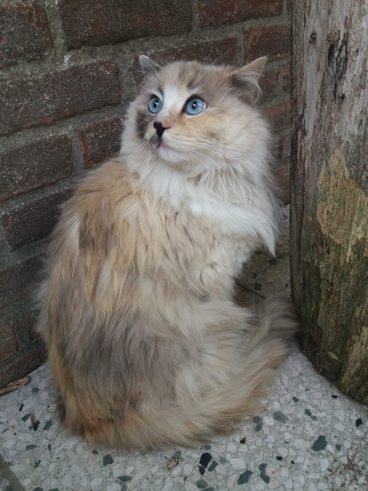 Persoonlijke verzorging