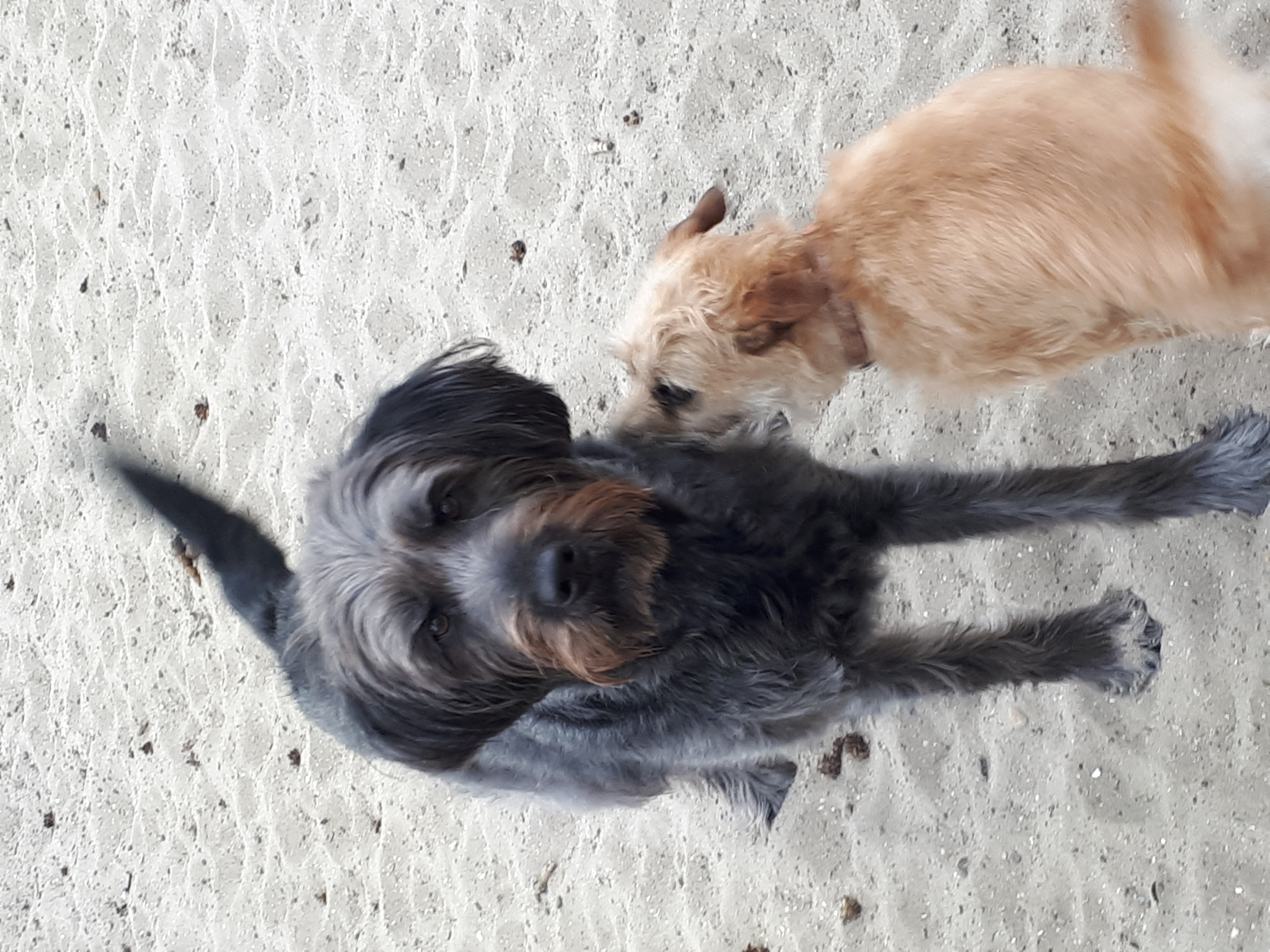 Rustige, landelijke omgeving