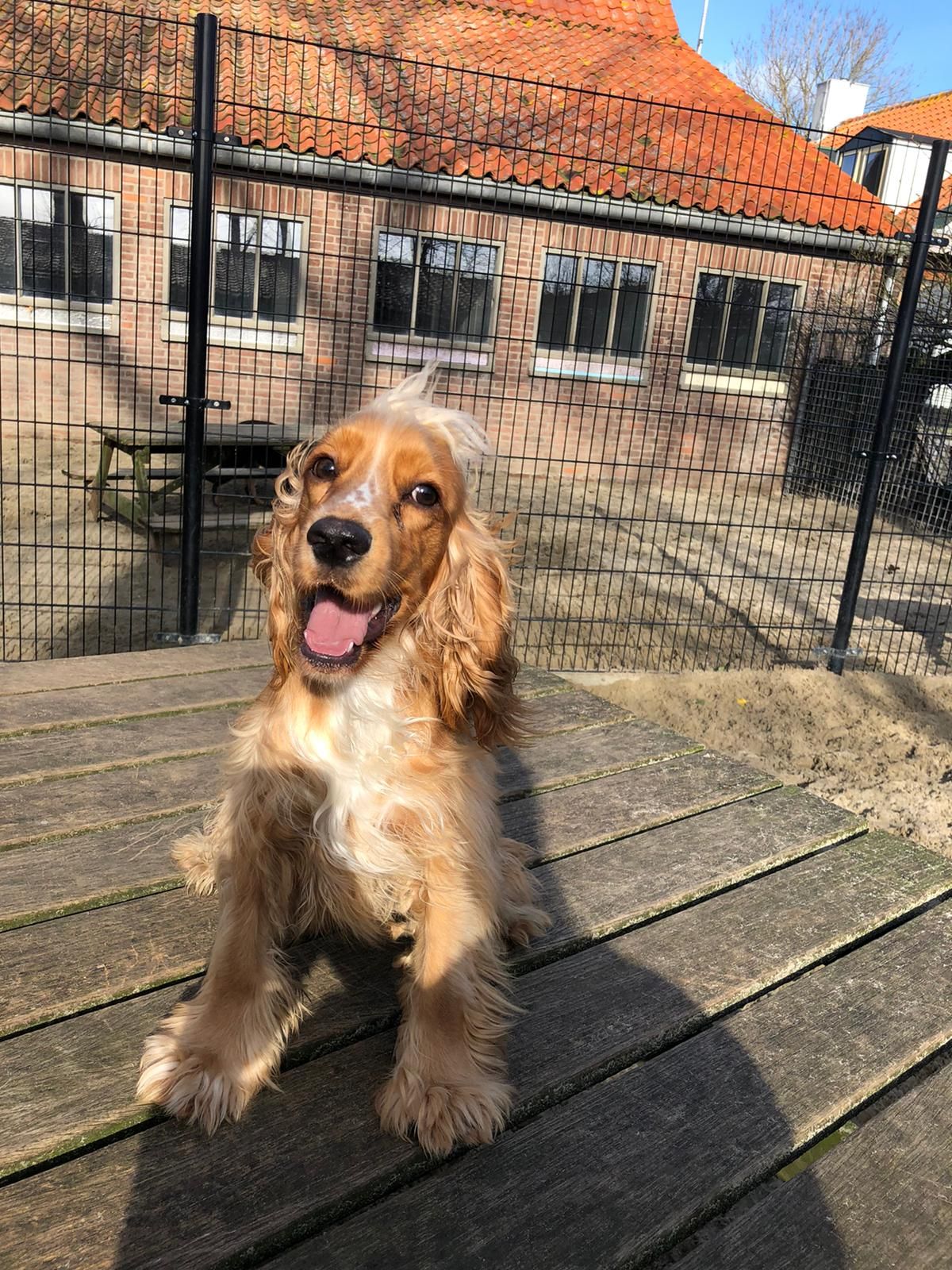 Reserveren en duidelijke afspraken