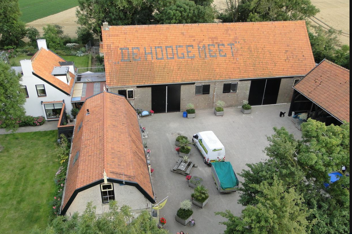 Honden, katten en knaagdieren